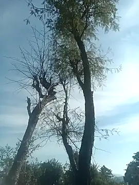 SunnyleoneBG online show from December 15, 2024, 7:46 am