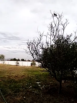 Chacal Armyy online show from March 9, 2026, 11:20 pm