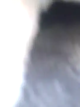 Dirtyfeelin online show from January 27, 2025, 8:40 am