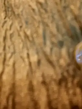 Dirtyfeelin online show from February 13, 2025, 11:28 am