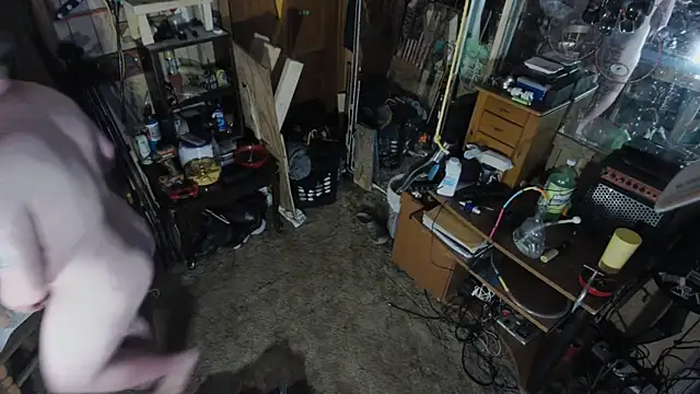 sex4fun 21 online show from March 12, 2025, 4:41 am