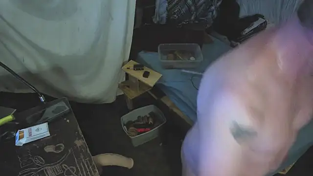 sex4fun 21 online show from July 9, 2026, 7:23 am