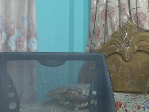 NancyRuvi online show from September 9, 2025, 3:22 pm