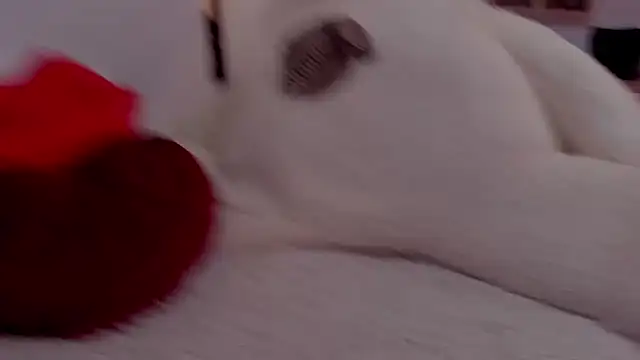 aryahunt1 online show from February 12, 2025, 1:37 pm