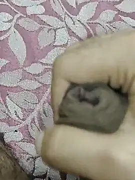 rockkyy9 online show from October 11, 2025, 4:01 am