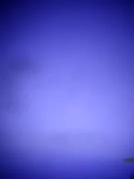 waspy online show from March 8, 2025, 2:55 am