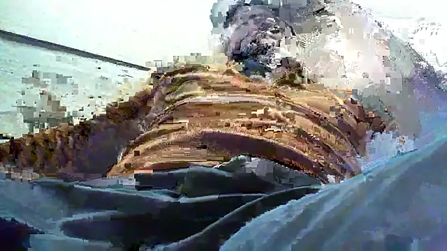 Billywax online show from January 8, 2026, 9:11 am