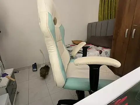 Max TheHorseDick online show from December 14, 2024, 2:34 am