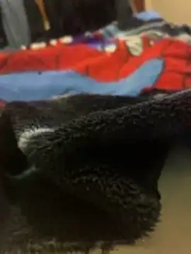 Red Foxxx25 online show from November 27, 2025, 1:51 am