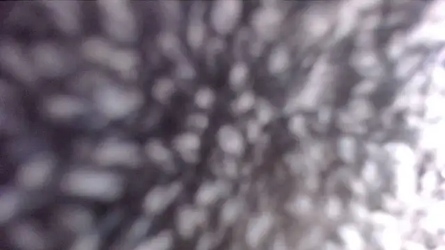 ADRIANNA FOX online show from February 21, 2025, 1:00 pm