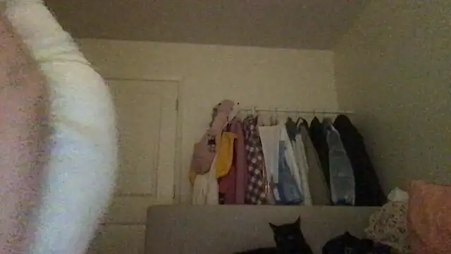 Snapshot of HYPHYtype chatting on September 23, 2025, 7:44 am HYPHYtype online show from September 23, 2025, 7:44 am