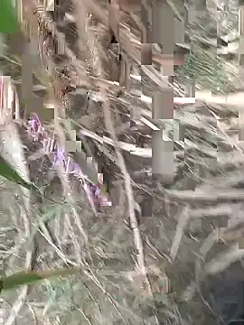 FinableKnee online show from September 18, 2025, 4:47 am