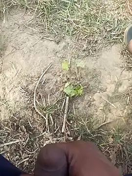 FinableKnee online show from November 29, 2025, 10:07 am