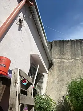 Alicbranca online show from February 26, 2026, 2:05 pm