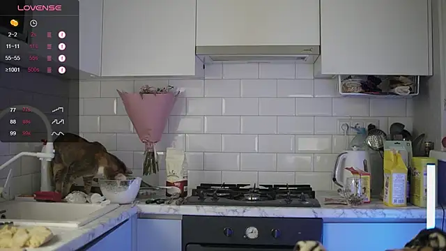 melanielwithu online show from December 13, 2024, 9:41 pm