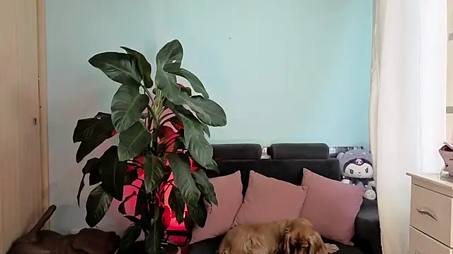 melisa es online show from February 5, 2026, 2:54 pm