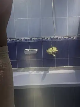 Arabien Pharaoh- online show from March 20, 2025, 5:58 pm