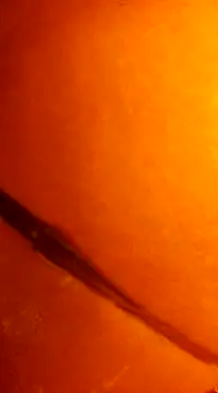 k lebannon online show from December 31, 2024, 11:49 pm