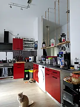 Trucker Hunter online show from March 15, 2025, 8:04 am