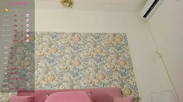 illegal lorry online show from October 17, 2025, 4:59 am