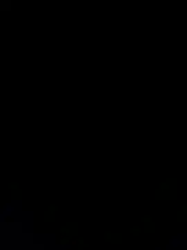 Furdale online show from December 4, 2024, 3:54 pm