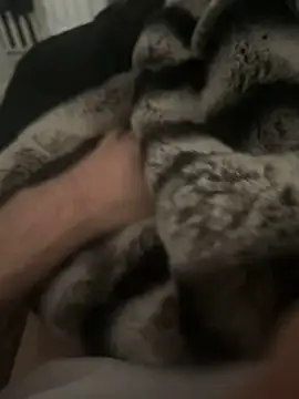 Furdale online show from December 17, 2024, 12:43 pm