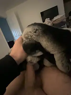 Furdale online show from January 24, 2025, 2:41 pm