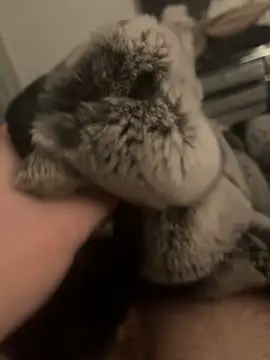 Furdale online show from January 24, 2025, 6:04 pm