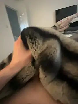 Furdale online show from February 8, 2025, 9:46 am