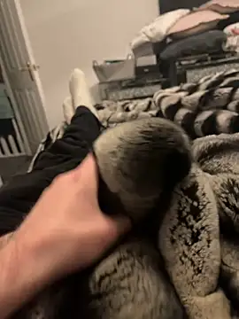 Furdale online show from February 11, 2025, 6:11 pm