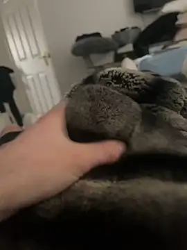 Furdale online show from February 16, 2025, 10:21 am