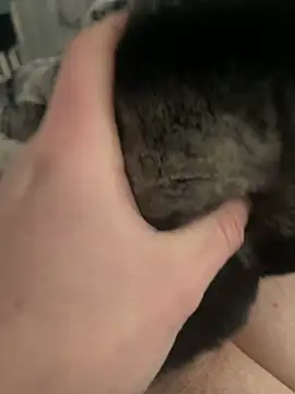 Furdale online show from February 24, 2025, 1:21 pm