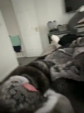 Furdale online show from September 22, 2025, 4:20 pm