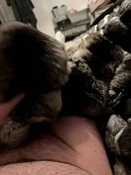 Furdale online show from December 4, 2025, 7:00 pm