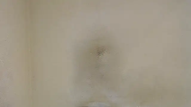 AlexNudo online show from January 30, 2025, 4:45 pm