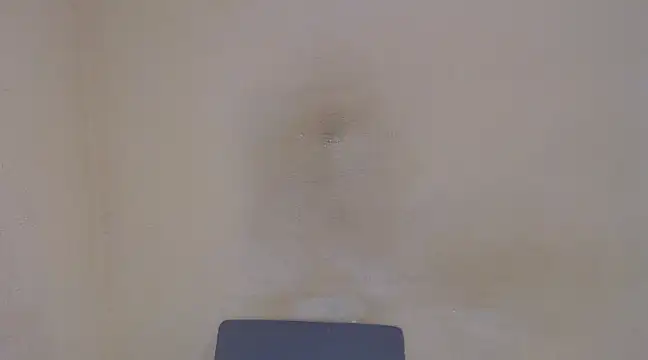 AlexNudo online show from February 5, 2025, 4:58 pm