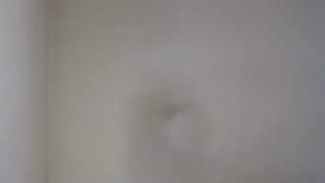 AlexNudo online show from February 26, 2025, 12:03 pm