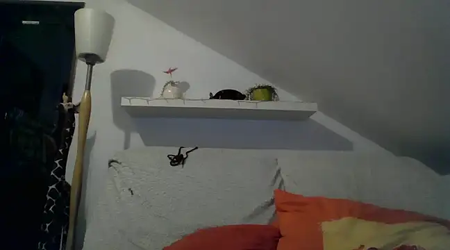 Cambitchboy online show from February 14, 2025, 5:09 am