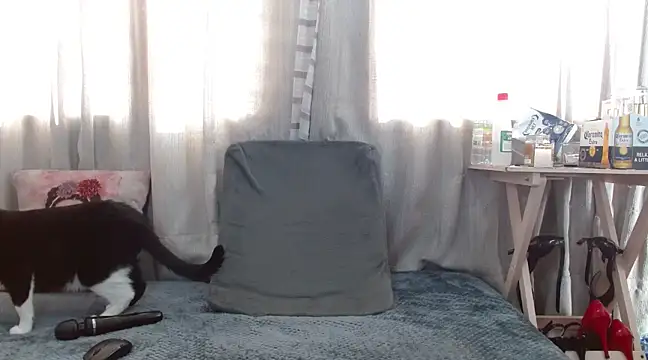 Boonny Boo01 online show from February 1, 2025, 1:41 pm