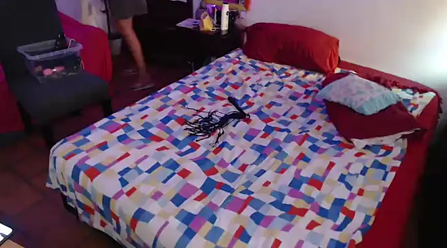 deftoolceles online show from March 20, 2025, 7:35 pm