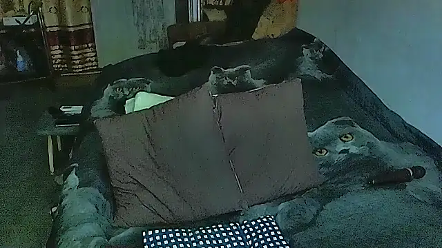 sex2 online show from September 29, 2025, 5:40 pm