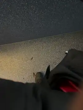 angelitasexy81 online show from December 15, 2025, 3:49 pm