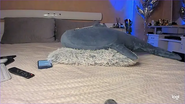 Snapshot of Diamond_D_ chatting on October 16, 2025, 5:03 pm Diamond D online show from October 16, 2025, 5:03 pm