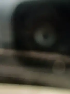 hornydick4you online show from March 2, 2025, 10:56 am