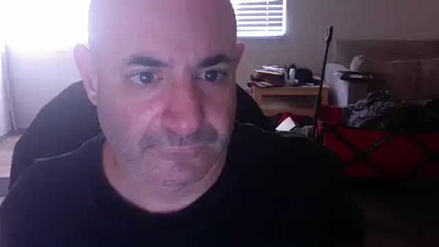 palidin1 online show from November 24, 2025, 9:36 pm