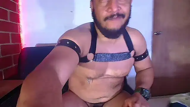 the master foal  online show from February 6, 2025, 8:18 am