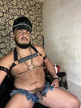 the master foal  online show from April 2, 2026, 7:17 am