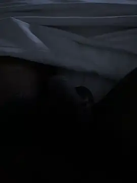 Danish500 online show from February 18, 2026, 4:36 pm