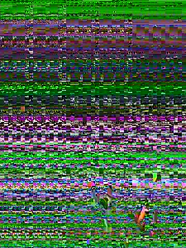 Sarita-candy online show from July 23, 2026, 11:35 pm