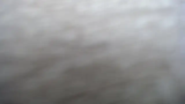 DAPHNE doll online show from September 15, 2025, 3:23 pm